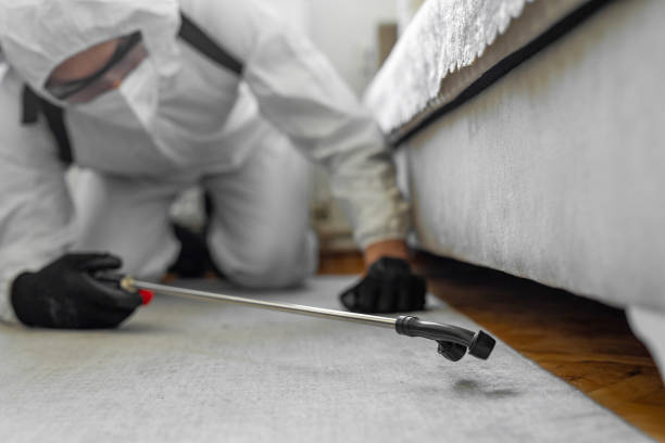 Professional Bed Bug Control technician working in Kendall West, FL